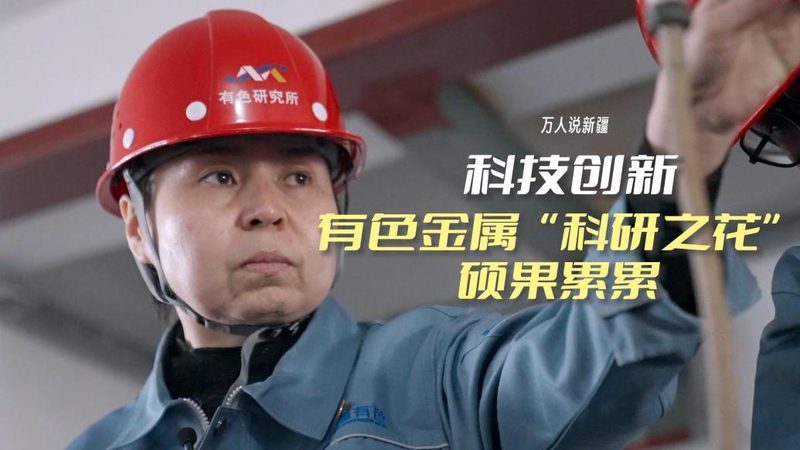 企业智能客服电话系统：价格背后的价值考量**